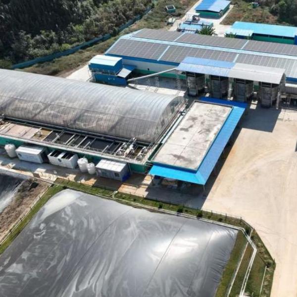 Bolong Vietnam Pig Manure Solution: Turn Waste into Treasure